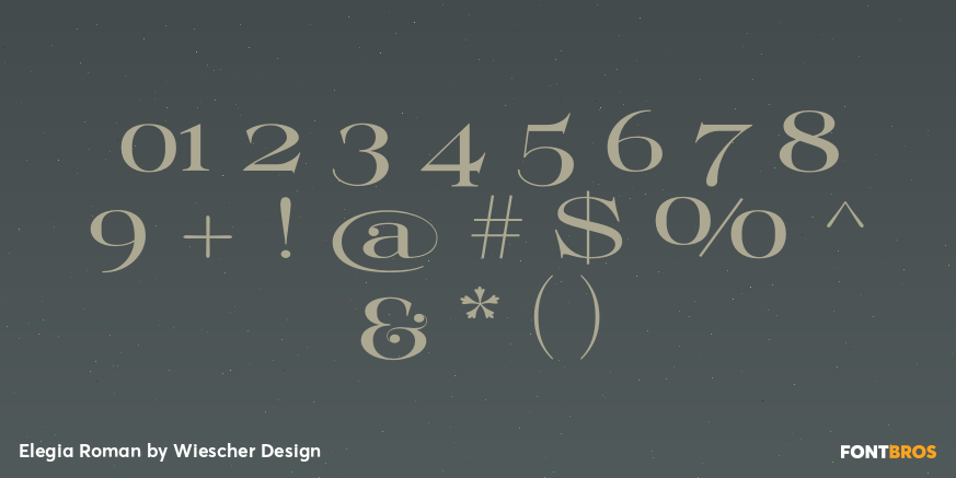 Elegia Roman Font Poster #4