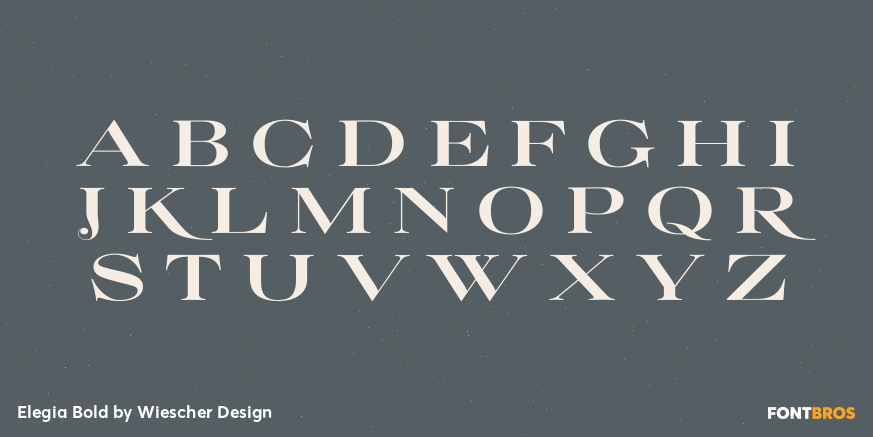 Elegia Bold Font Poster #2