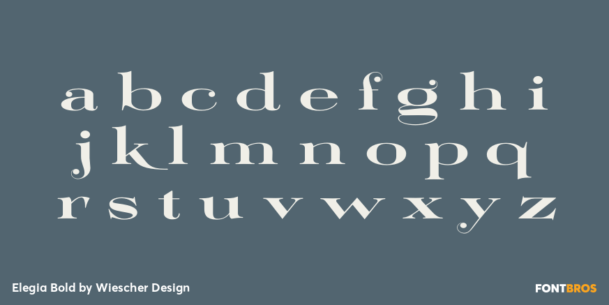 Elegia Bold Font Poster #3