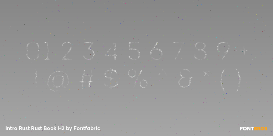 Intro Rust Rust Book H2 Font Poster #1