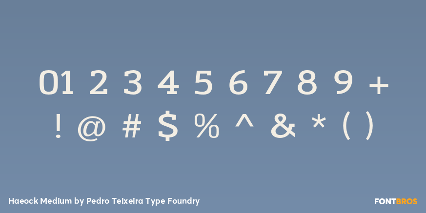 Haeock Medium Font Poster #1