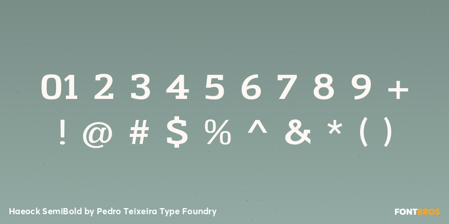 Haeock SemiBold Font Poster #4