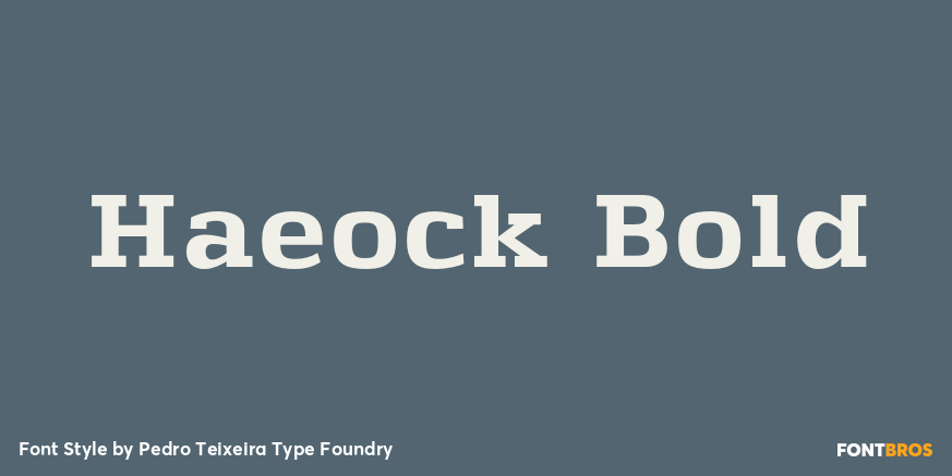 Haeock Bold Font Poster #1