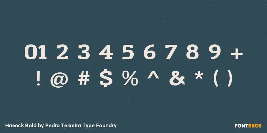 Haeock Bold Font Poster #1