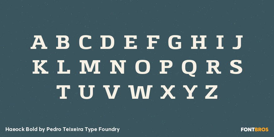 Haeock Bold Font Poster #2