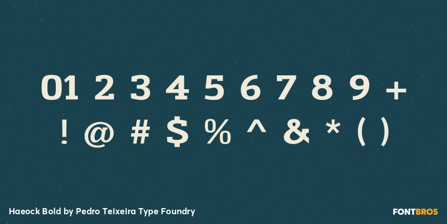 Haeock Bold Font Poster #4