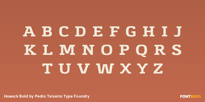 Haeock Bold Font Poster #1