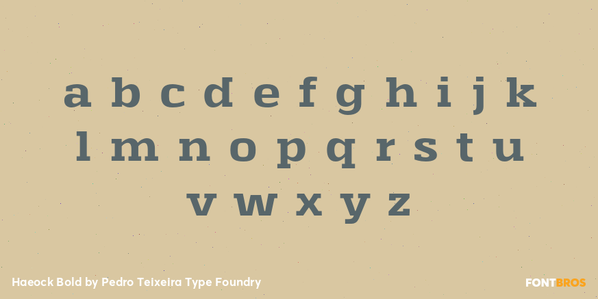 Haeock Bold Font Poster #1