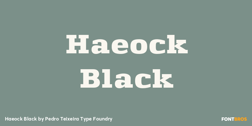 Haeock Black Font Poster #1