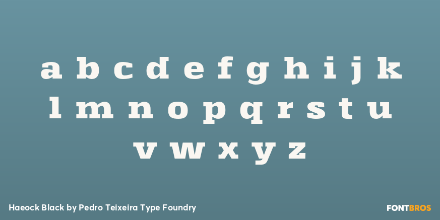 Haeock Black Font Poster #3