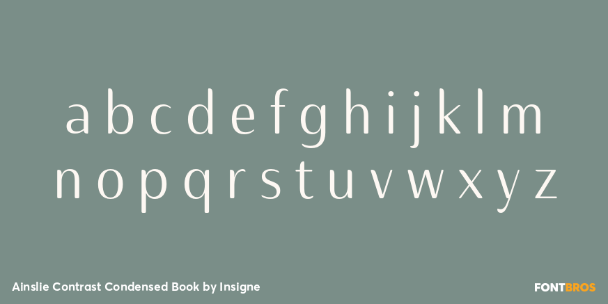 Ainslie Contrast Condensed Book Font Poster #3