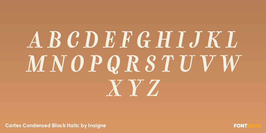 Cartes Condensed Black Italic Font Poster #2