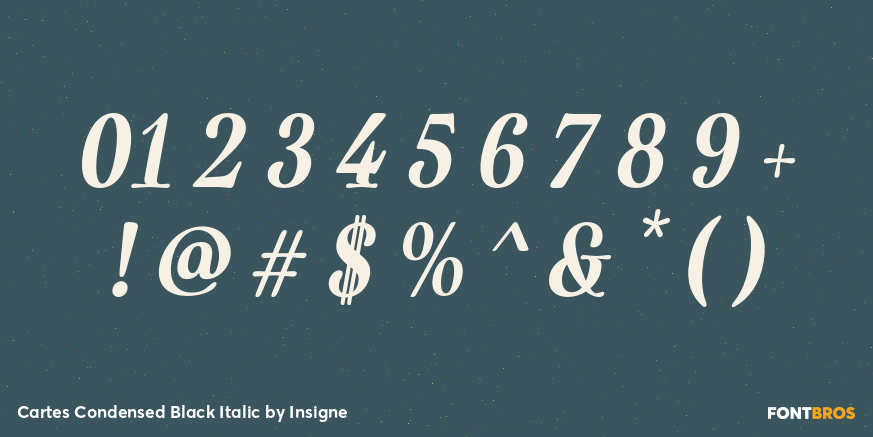 Cartes Condensed Black Italic Font Poster #4