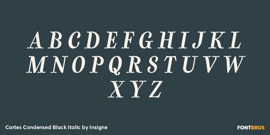 Cartes Condensed Black Italic Font Poster #2