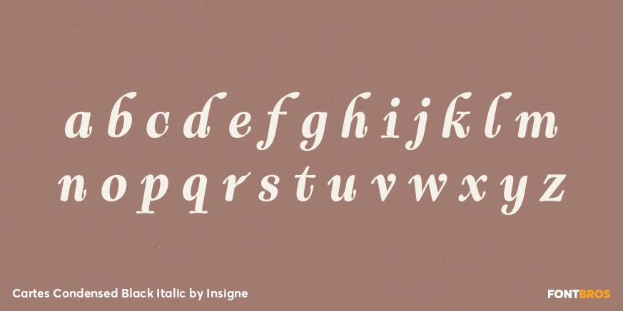 Cartes Condensed Black Italic Font Poster #3