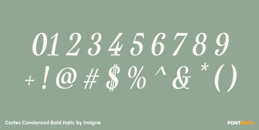 Cartes Condensed Bold Italic Font Poster #1