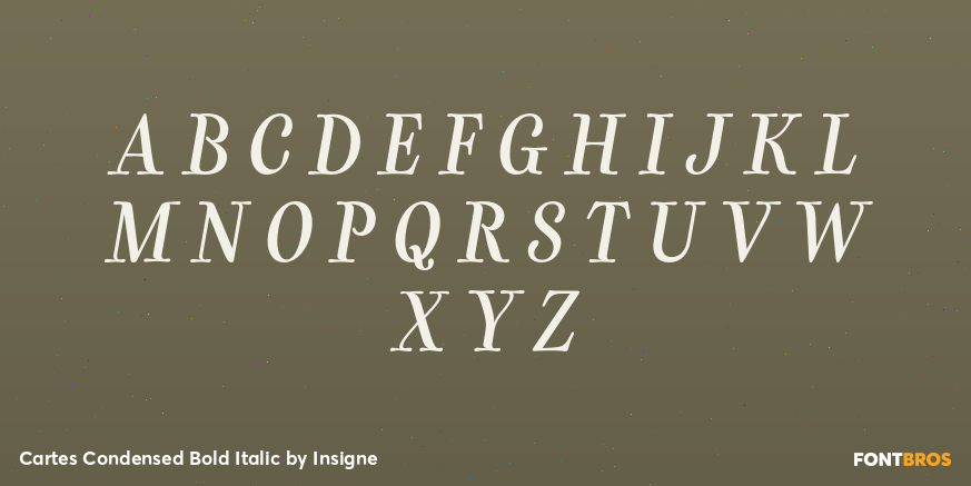 Cartes Condensed Bold Italic Font Poster #2