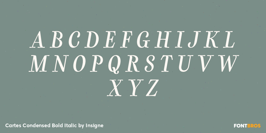 Cartes Condensed Bold Italic Font Poster #1