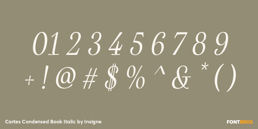 Cartes Condensed Book Italic Font Poster #4