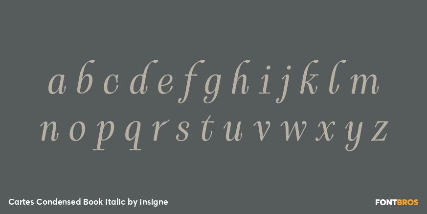 Cartes Condensed Book Italic Font Poster #3