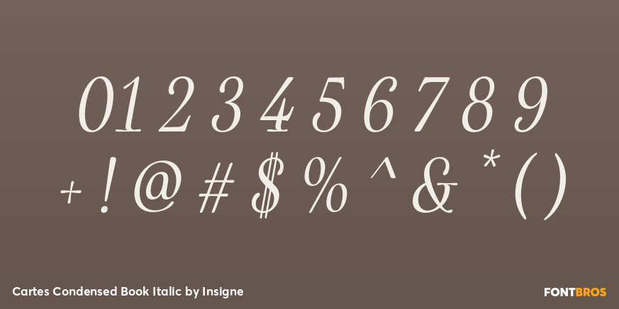 Cartes Condensed Book Italic Font Poster #4