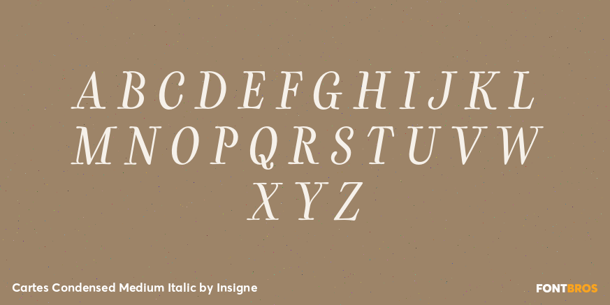 Cartes Condensed Medium Italic Font Poster #1