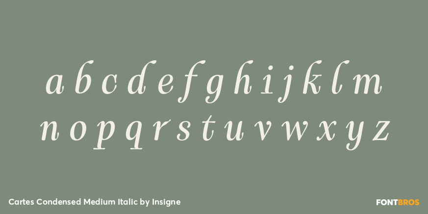 Cartes Condensed Medium Italic Font Poster #1