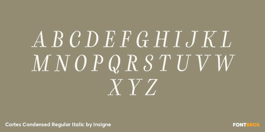 Cartes Condensed Regular Italic Font Poster #2