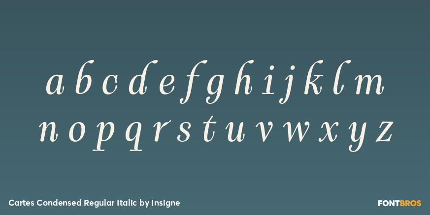 Cartes Condensed Regular Italic Font Poster #3