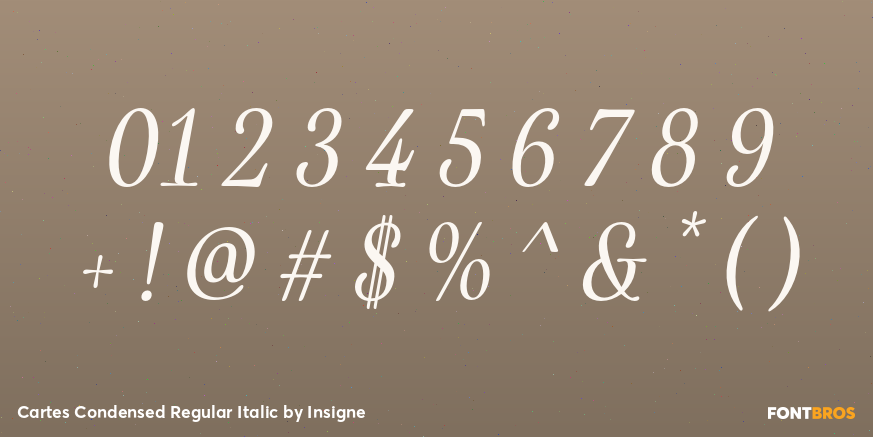 Cartes Condensed Regular Italic Font Poster #4
