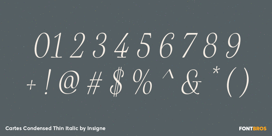 Cartes Condensed Thin Italic Font Poster #4