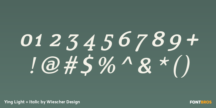 Ying Light + Italic Font Poster #1