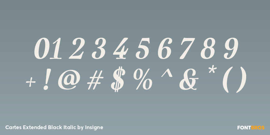 Cartes Extended Black Italic Font Poster #4