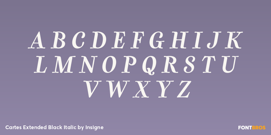 Cartes Extended Black Italic Font Poster #2