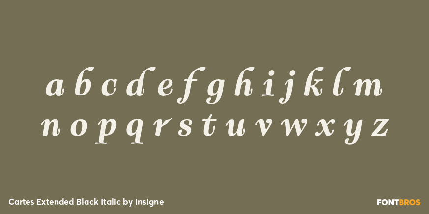 Cartes Extended Black Italic Font Poster #3