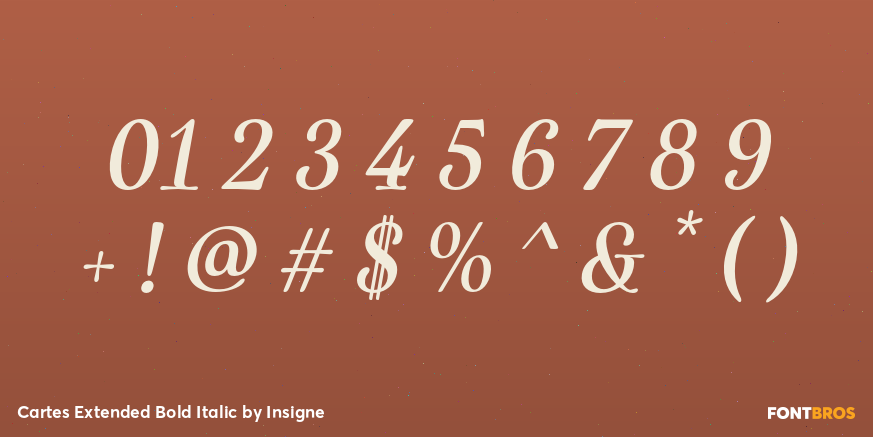 Cartes Extended Bold Italic Font Poster #1