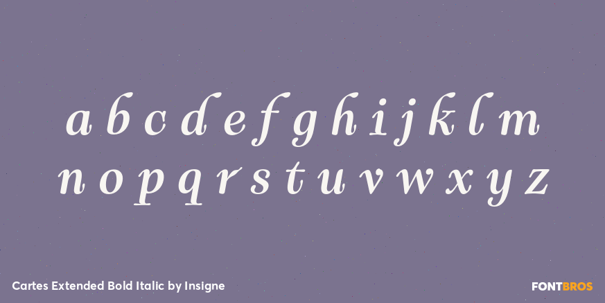 Cartes Extended Bold Italic Font Poster #3