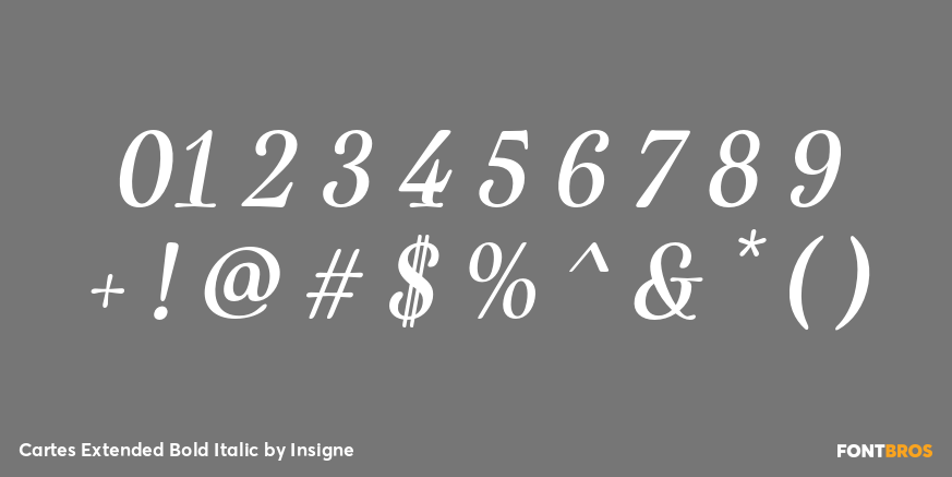 Cartes Extended Bold Italic Font Poster #4