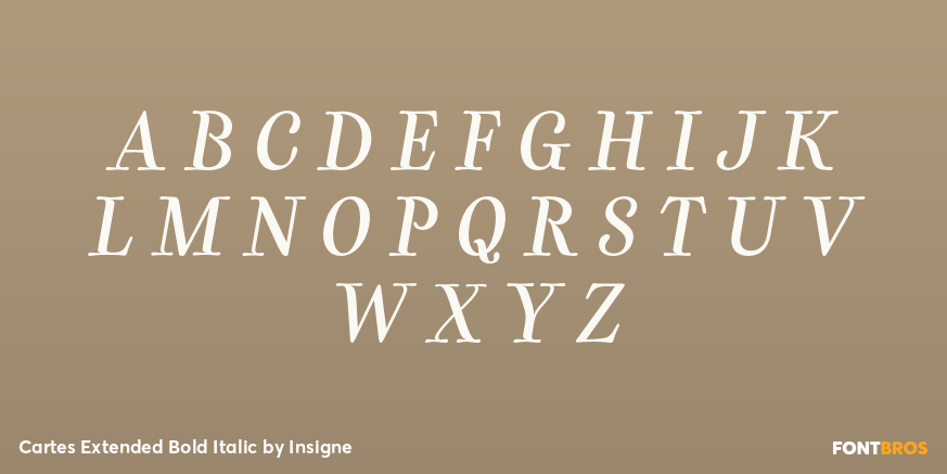 Cartes Extended Bold Italic Font Poster #1