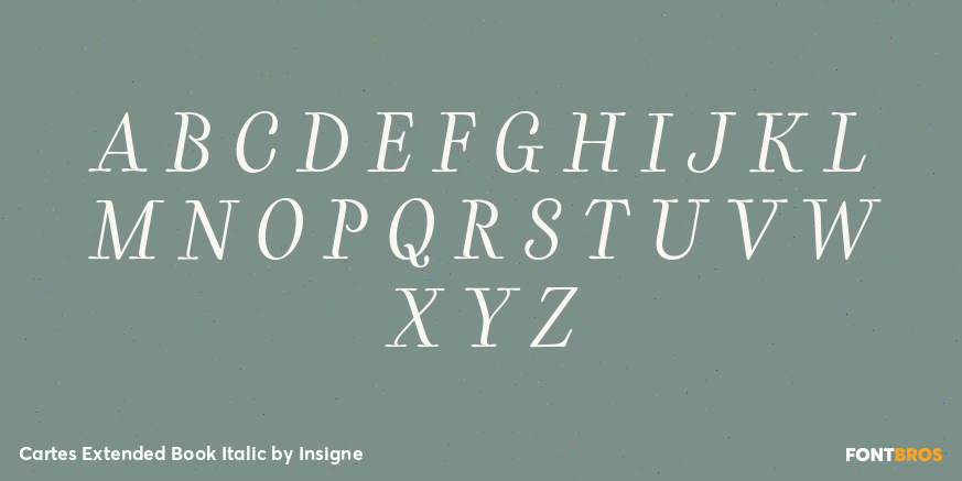 Cartes Extended Book Italic Font Poster #2