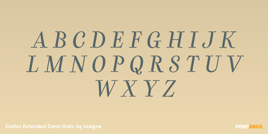 Cartes Extended Demi Italic Font Poster #2