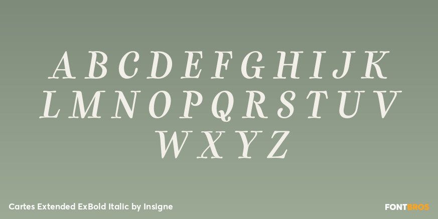 Cartes Extended ExBold Italic Font Poster #2