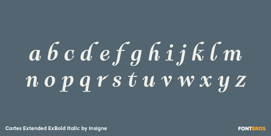 Cartes Extended ExBold Italic Font Poster #3