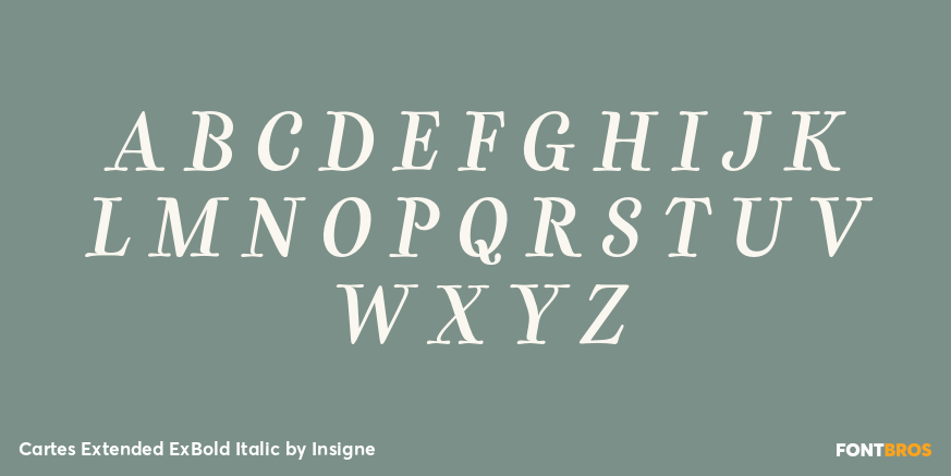 Cartes Extended ExBold Italic Font Poster #1