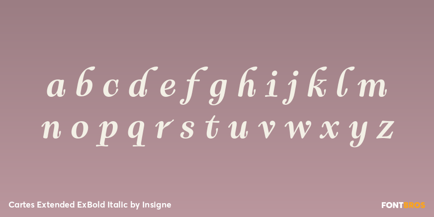Cartes Extended ExBold Italic Font Poster #1