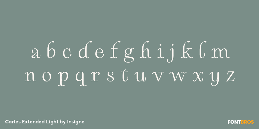 Cartes Extended Light Font Poster #1