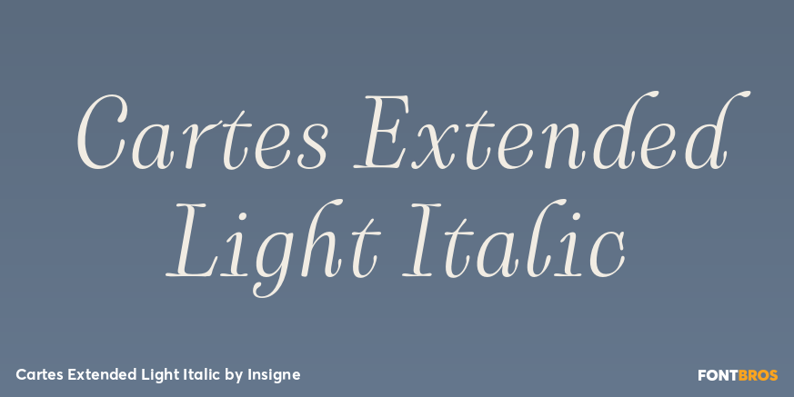 Cartes Extended Light Italic Font Poster #1