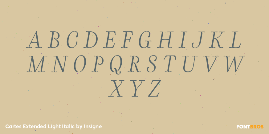Cartes Extended Light Italic Font Poster #2