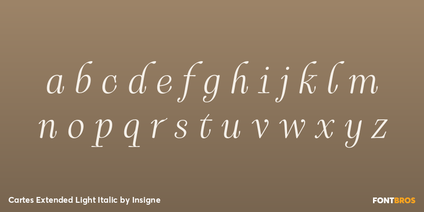 Cartes Extended Light Italic Font Poster #3