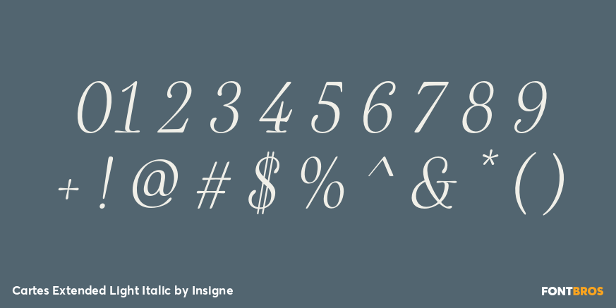 Cartes Extended Light Italic Font Poster #4